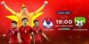 Giới thiệu bóng đá trực tiếp Việt Nam là gì?